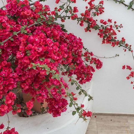 Depis Apartments & Suites Naxos City Ngoại thất bức ảnh
