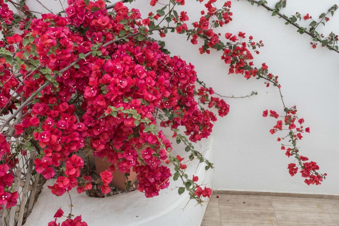 Depis Apartments & Suites Naxos City Ngoại thất bức ảnh